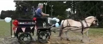 Recreatiekoets (geremd op luchtbanden)   beschikbaar voor biedingen