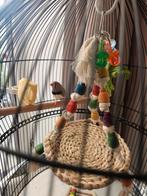 Ronde zwarte vogelkooi