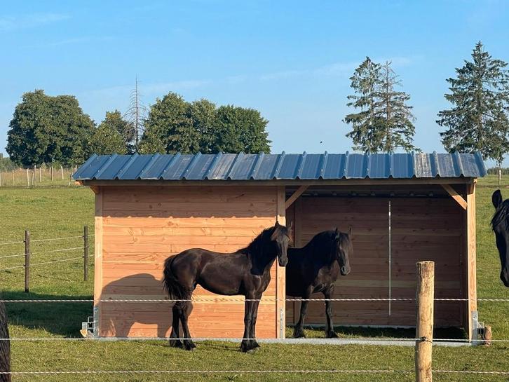 Schuilhok 3x6m + Voorwand in massief douglashout 'NIEUW', Dieren en Toebehoren, Stalling en Weidegang, Stalling, Weidegang, 2 of 3 paarden of pony's