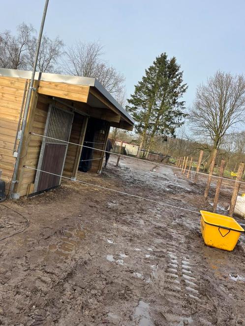 Stal te huur, Dieren en Toebehoren, Stalling en Weidegang, Stalling, 1 paard of pony