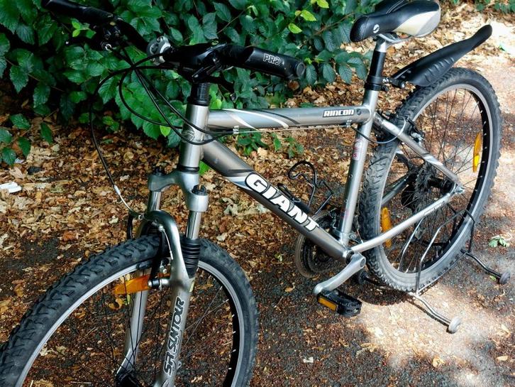 Velo, Fietsen en Brommers, Fietsen | Heren | Herenfietsen, Giant, Versnellingen, Ophalen