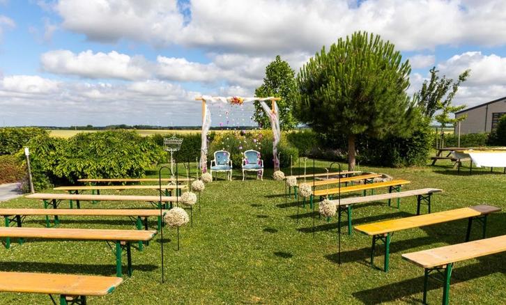 Prachtige herdersstokken met gypsophilaballen, Tuin en Terras, Tuinstekers, Gebruikt, Ophalen