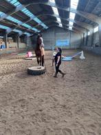 Training + lessen aangeboden, Dieren en Toebehoren, Zadelmak