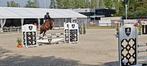 Springruiter zoekt paarden om te trainen, Animaux & Accessoires, Chevaux, Cheval de saut