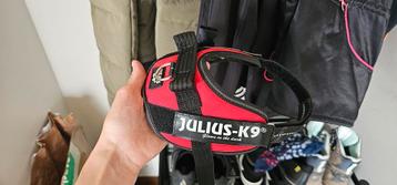 K9 tuig mini-mini beschikbaar voor biedingen