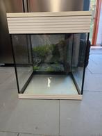 Aquarium Aksoll Pure M, 44 liter, Dieren en Toebehoren, Ophalen