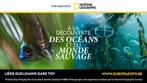 10€ les 2 entrées Expo NATIONAL GEOGRAPHIC Liège > 28/09/25, Tickets & Billets, Expositions, Deux personnes, Septembre