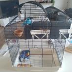 Grote vogel kooi, Dieren en Toebehoren, Ophalen of Verzenden