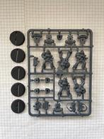 Space Marines Tactiques Ultramarines neufs pour W40K, Ophalen of Verzenden, Nieuw, Warhammer 40000, Figuurtje(s)
