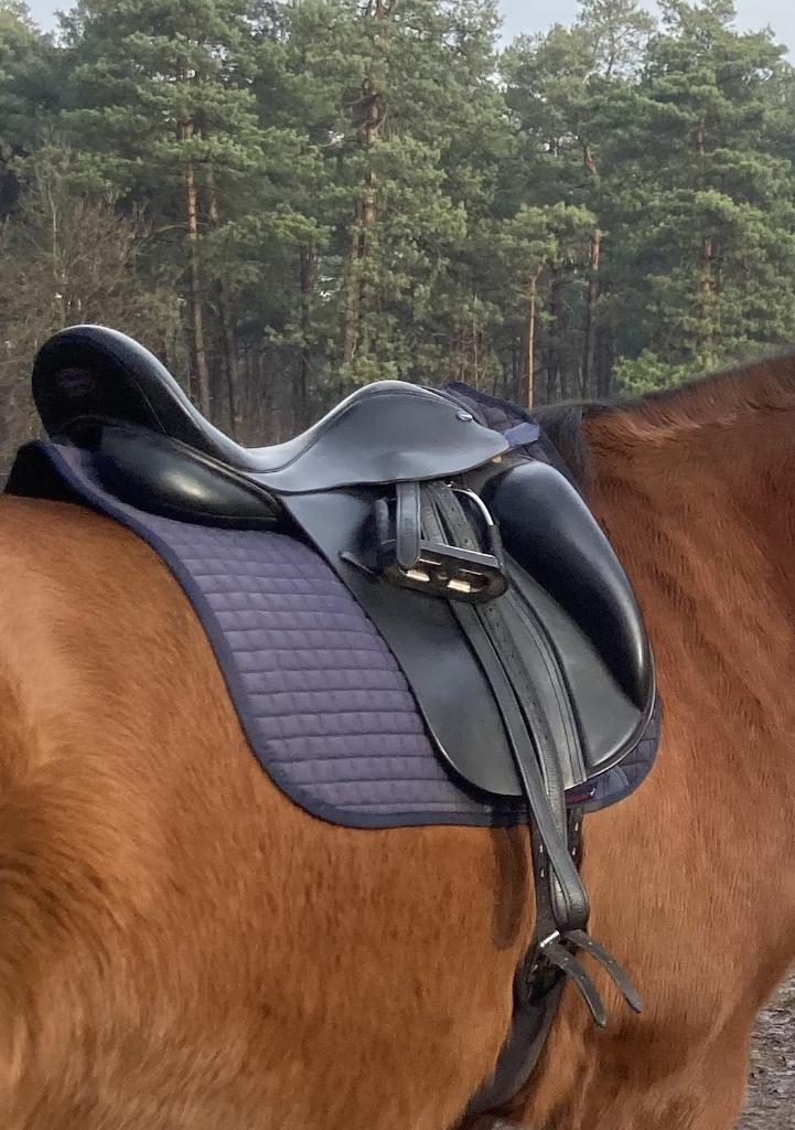 Selle de dressage Euroriding Titan 17,5 pouces, Animaux & Accessoires, Chevaux & Poneys | Selles, Comme neuf, Dressage, Enlèvement ou Envoi