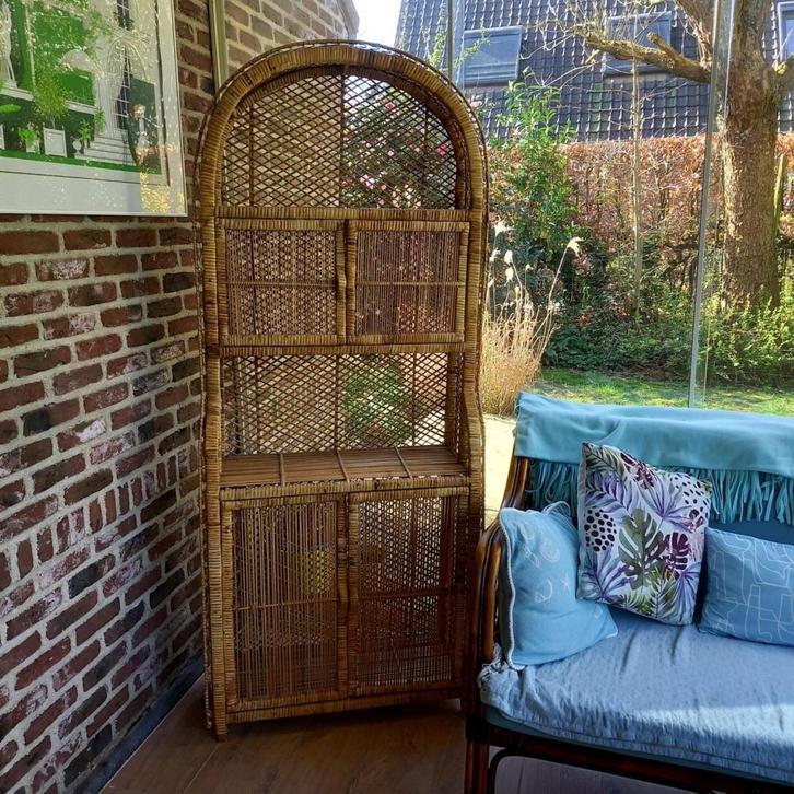rotan kast en trapje, Huis en Inrichting, Kasten | Dressoirs, Zo goed als nieuw, 50 tot 100 cm, 25 tot 50 cm, Met deur(en), Ophalen