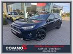 Toyota RAV-4 2.5 Hybr/Leder/Safety/View360°, Auto's, Toyota, Blauw, 131 kW, Bedrijf, 5 deurs