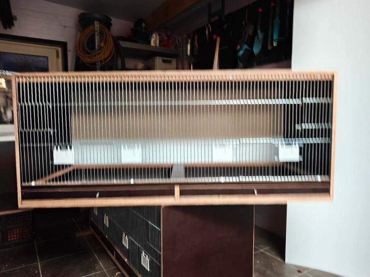 Cages d'élevage, Animaux & Accessoires, Oiseaux | Cages & Volières, Neuf, Cage d'élevage, Bois, Enlèvement