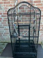 ZWARTE PAPEGAAIENKOOI MET TOEBEHOREN NU 140 EURO, Dieren en Toebehoren, Ophalen, Zo goed als nieuw, Metaal, Volière