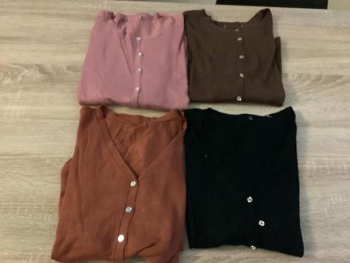 Damesvesten 4 stuks voor 10 euro, Kleding | Dames, Overige Dameskleding, Zo goed als nieuw, Ophalen