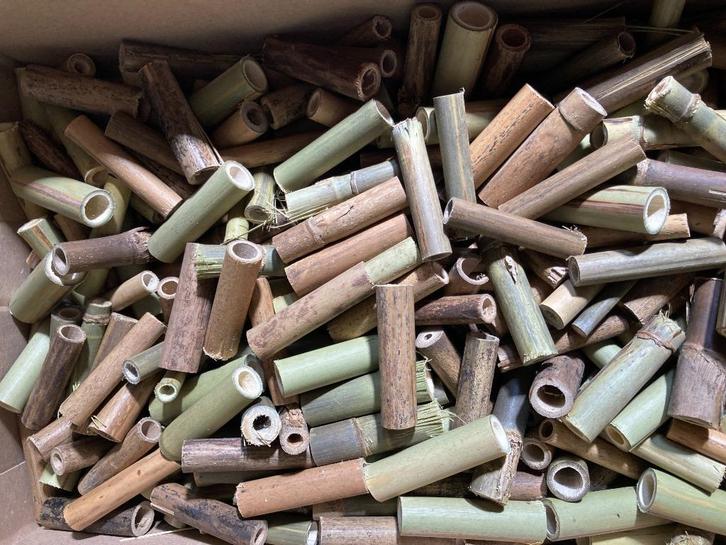 Bamboe voor bijenhotel/ insectenhotel - lengte 5 cm - 25 st, Tuin en Terras, Overige Tuin en Terras, Nieuw, Ophalen of Verzenden