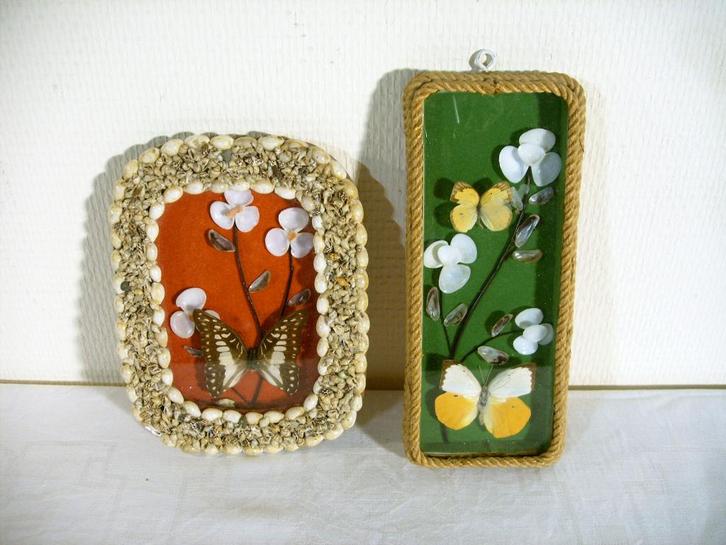 Twee kaders met vlinders., Antiek en Kunst, Curiosa en Brocante, Ophalen of Verzenden