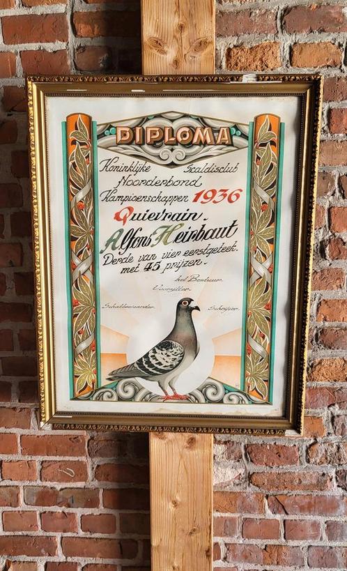 1936 Duiven Diploma Scaldis Antwerpen Art deco, Antiek en Kunst, Curiosa en Brocante, Ophalen