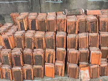 stormpan 44 Sterreberg & Pottelberg 1.500stuks beschikbaar voor biedingen