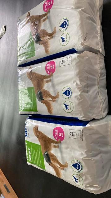 Wegwerpluiers voor honden (teefje) beschikbaar voor biedingen