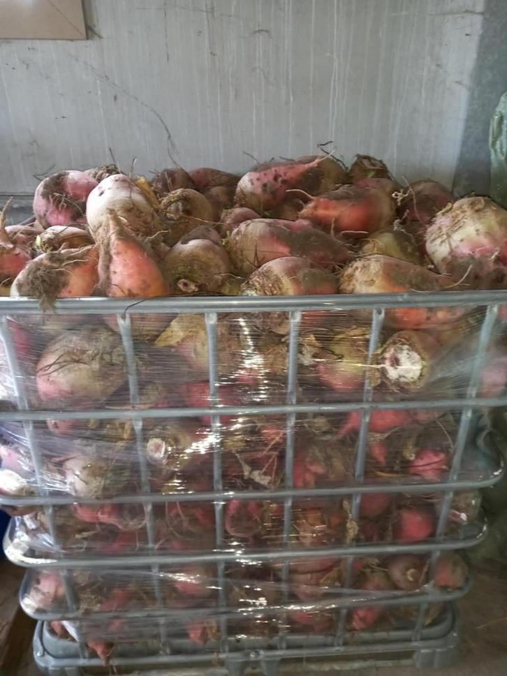 VoederBieten, Zakelijke goederen, Landbouw | Veevoer, Ophalen