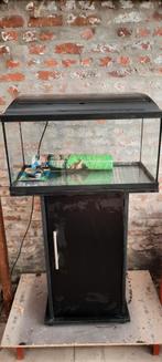 Aquarium 60x30, Dieren en Toebehoren, Vissen | Aquaria en Toebehoren, Ophalen of Verzenden, Zo goed als nieuw