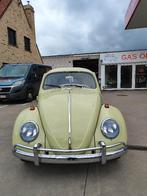 VW coccinelle 1200 Beryl green restaurée + garantie, Achat, Entreprise, Garantie prolongée, Boîte manuelle