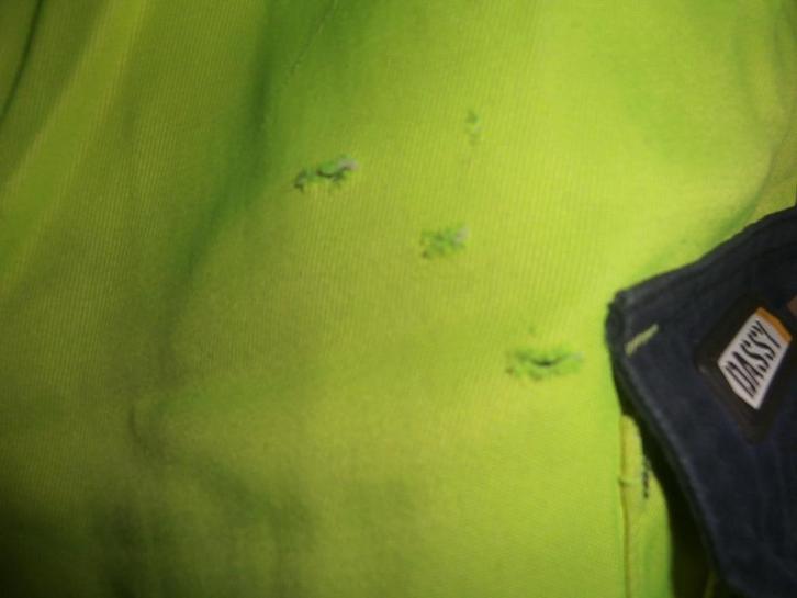 Dassy fluo werkbroek, Tuin en Terras, Werkkleding, Gebruikt, Heren, Broek, Ophalen