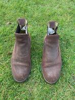 paardrijschoenen / korte laarzen - bruin, Ophalen, Gebruikt, Dames, Schoeisel