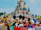 4 tickets Disneyland, Tickets en Kaartjes, Drie personen of meer, Ticket of Toegangskaart