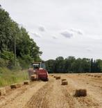 Petits ballots de foin et paille, Dieren en Toebehoren, Dierenvoeding, Ophalen