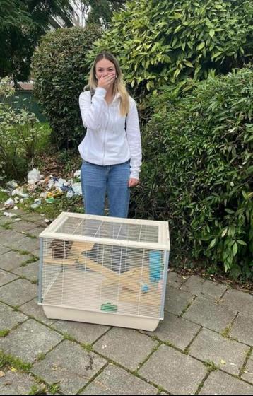 Assez grande cage a hamster, grote hamster kooi te koop beschikbaar voor biedingen