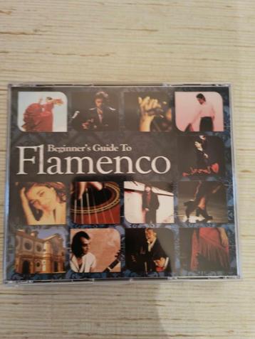 Beginner's Guide to Flamenco beschikbaar voor biedingen