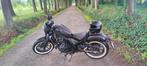 Honda Rebel CMX 500 Special Edition, Motoren, Motoren | Honda, 2 cilinders, Chopper, Particulier, 12 t/m 35 kW