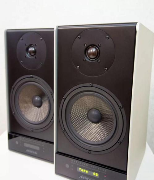 Meridian DSP3100, Audio, Tv en Foto, Luidsprekerboxen, Gebruikt, Front, Rear of Stereo speakers, 120 watt of meer, Overige merken