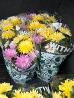 Chrysanten 14 stuks, Ophalen
