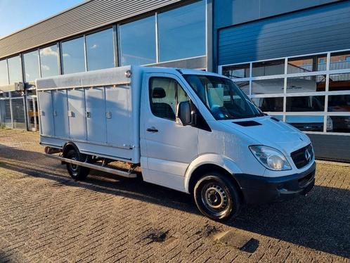 Mercedes-Benz Sprinter 313 CDI/ 5+5 Turen / ICE /EIS/-40C /, Auto's, Bestelwagens en Lichte vracht, Bedrijf, Te koop, ABS, Centrale vergrendeling