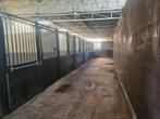 Stallen te huur in Lommel – Volpension of Leegverhuur, Dieren en Toebehoren