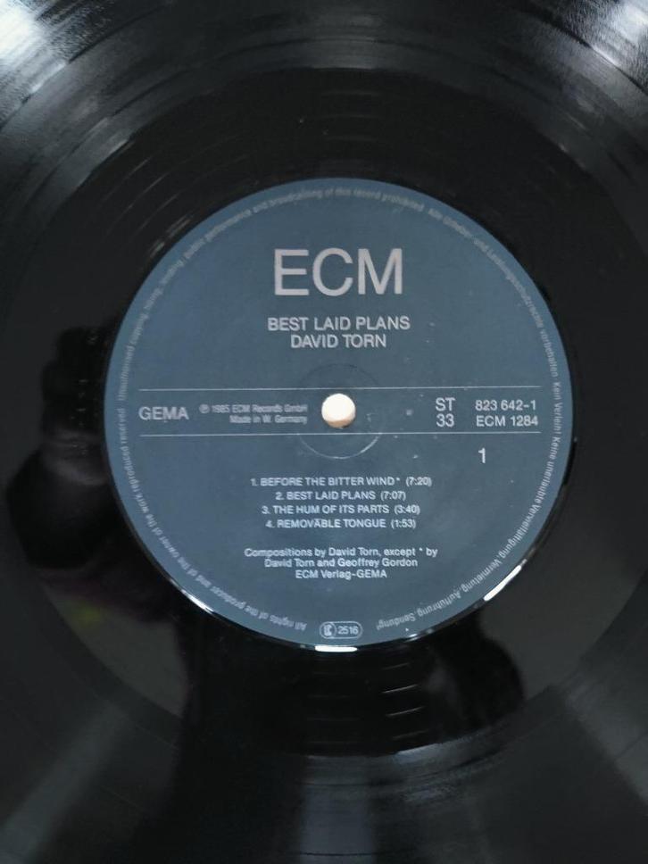 David Torn / Geoffrey Gordon – Best Laid Plans, Cd's en Dvd's, Vinyl | Jazz en Blues, Gebruikt, Jazz, 12 inch, Ophalen of Verzenden