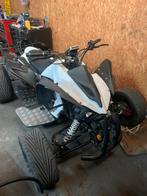Quad 450cc, Motoren, 450 cc, 1 cilinder, 12 t/m 35 kW