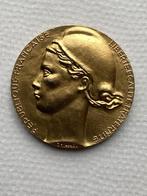 Penning Medaille Republique Française, Ophalen of Verzenden, Brons