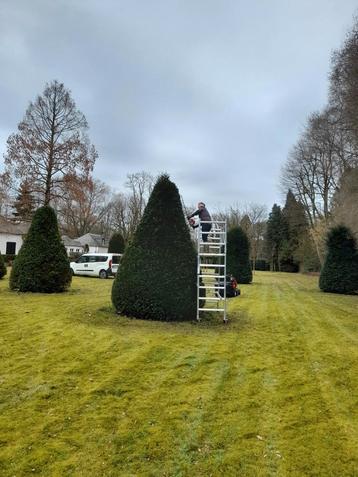 Tuinman  beschikbaar voor biedingen