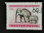 Hongrie 1961 - faune - Eléphant, Timbres & Monnaies, Animal et Nature, Affranchi, Enlèvement ou Envoi
