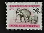 Hongarije 1961 - fauna - Olifant, Ophalen of Verzenden, Gestempeld, Dier of Natuur