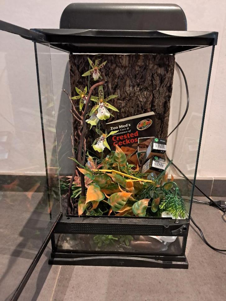 terrarium, Dieren en Toebehoren, Reptielen en Amfibieën | Toebehoren, Zo goed als nieuw, Terrarium of Paludarium, Ophalen