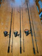 Canne a pêche, Enlèvement