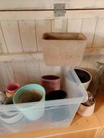 Bloempotten, Enlèvement