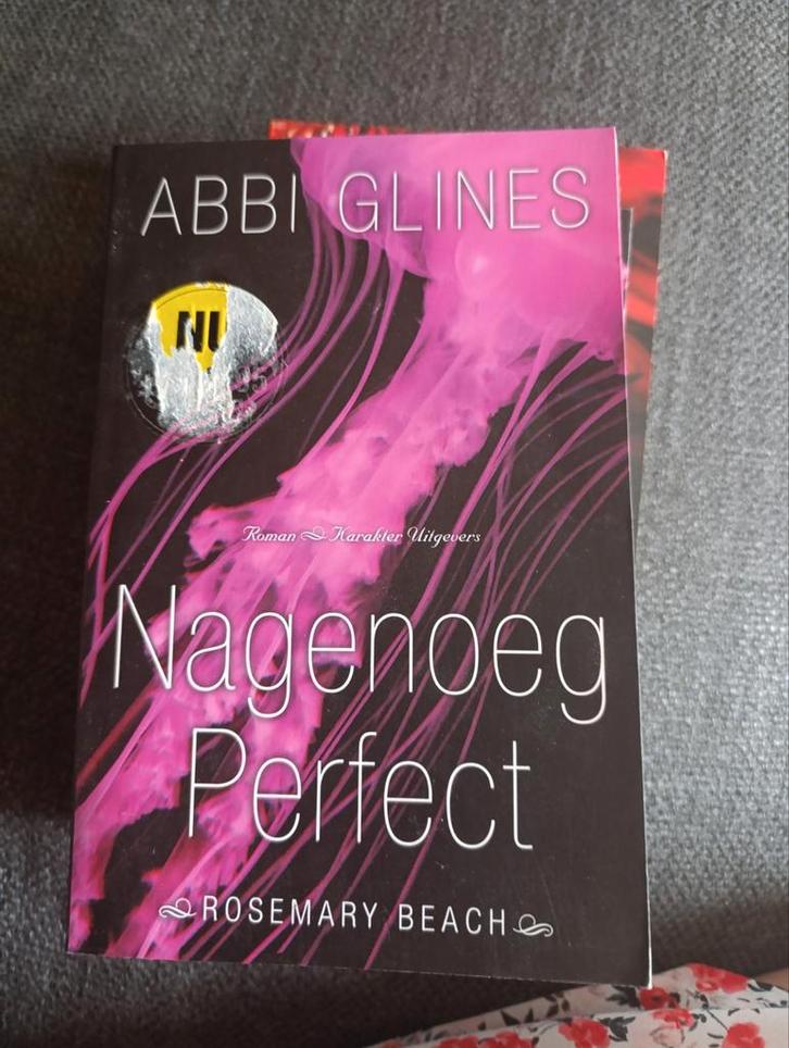Abbi Glines - Nagenoeg perfect, Boeken, Literatuur, Zo goed als nieuw, Ophalen of Verzenden