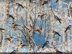 Katoentje met vogelprint, Nieuw, Ophalen of Verzenden, 30 tot 120 cm, Katoen