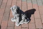 Zittende hond in gepatineerde steen, Ophalen, Nieuw, Steen, Dierenbeeld